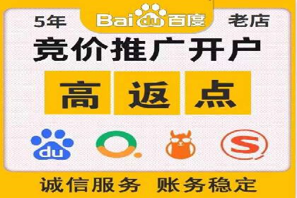 成功案例解析：SEM竞价托管运营策略